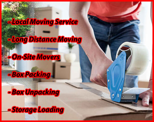 Packers And Movers Noida Sector 24